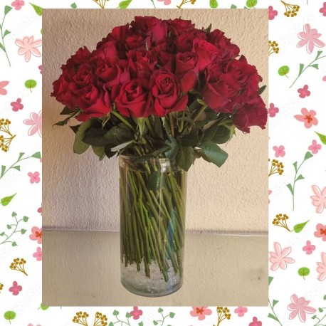 Red Roses in a Vase (50, 100, or 200 Stems)
