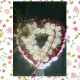Standard no Vase option R890 - R300 - R600